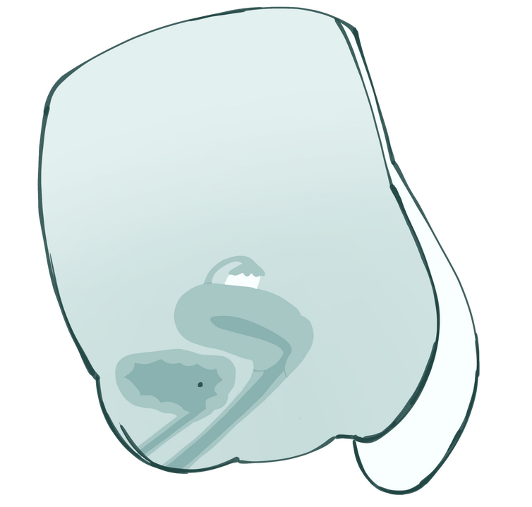 Female Surrogate