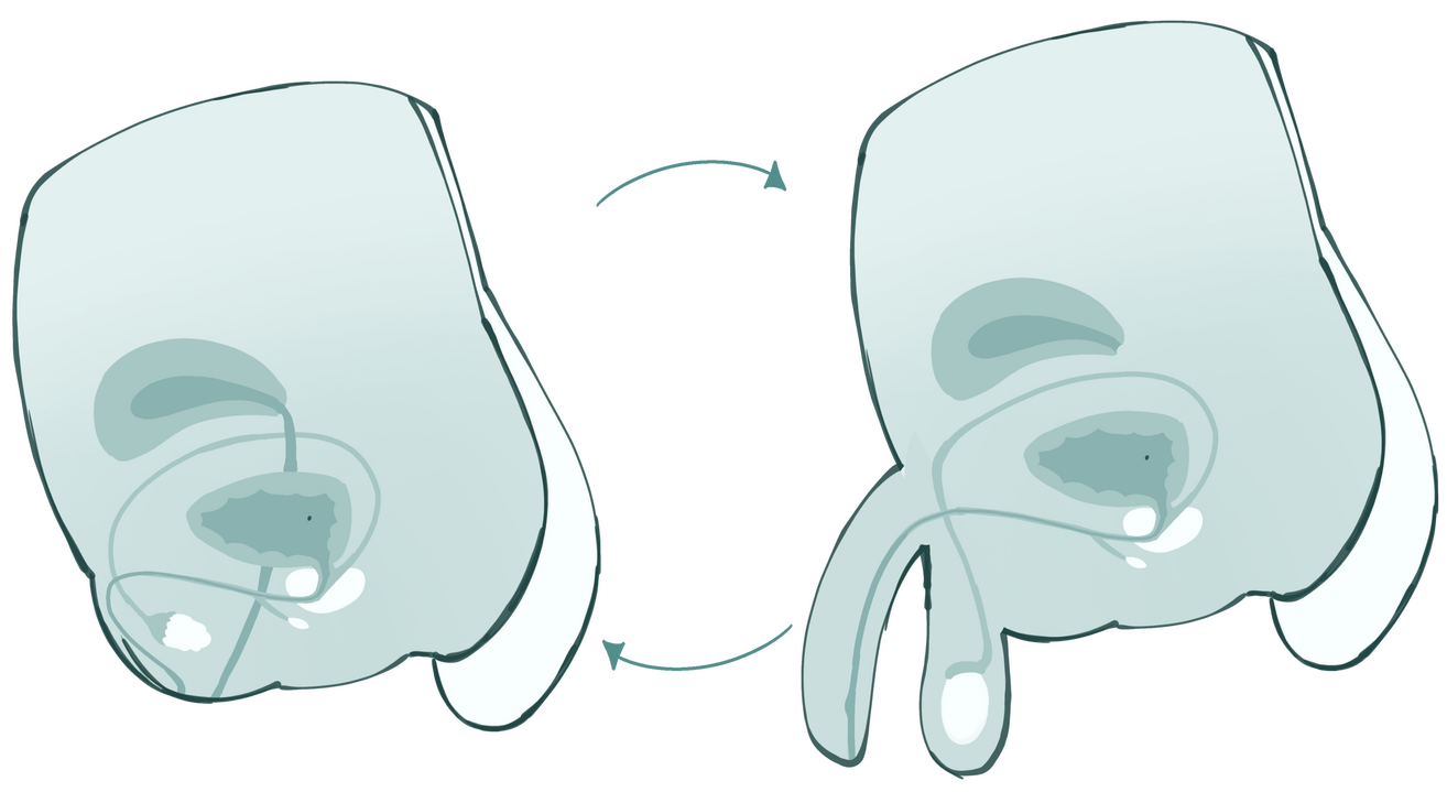 Sequential