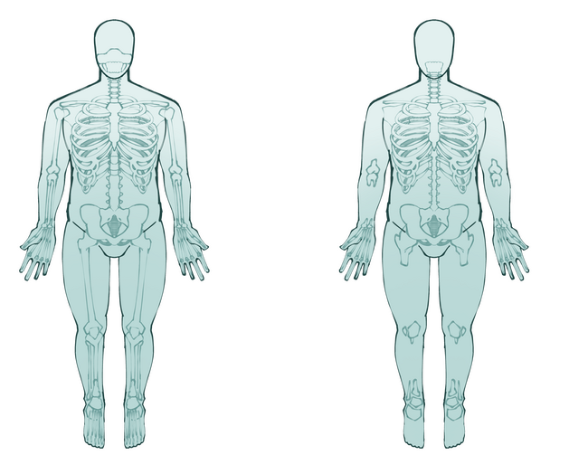 Endo skeleton &amp; Cartilaginous skeleton. Foodies most commonly have while endo skeleton are the miniority, a mix of two also exist.