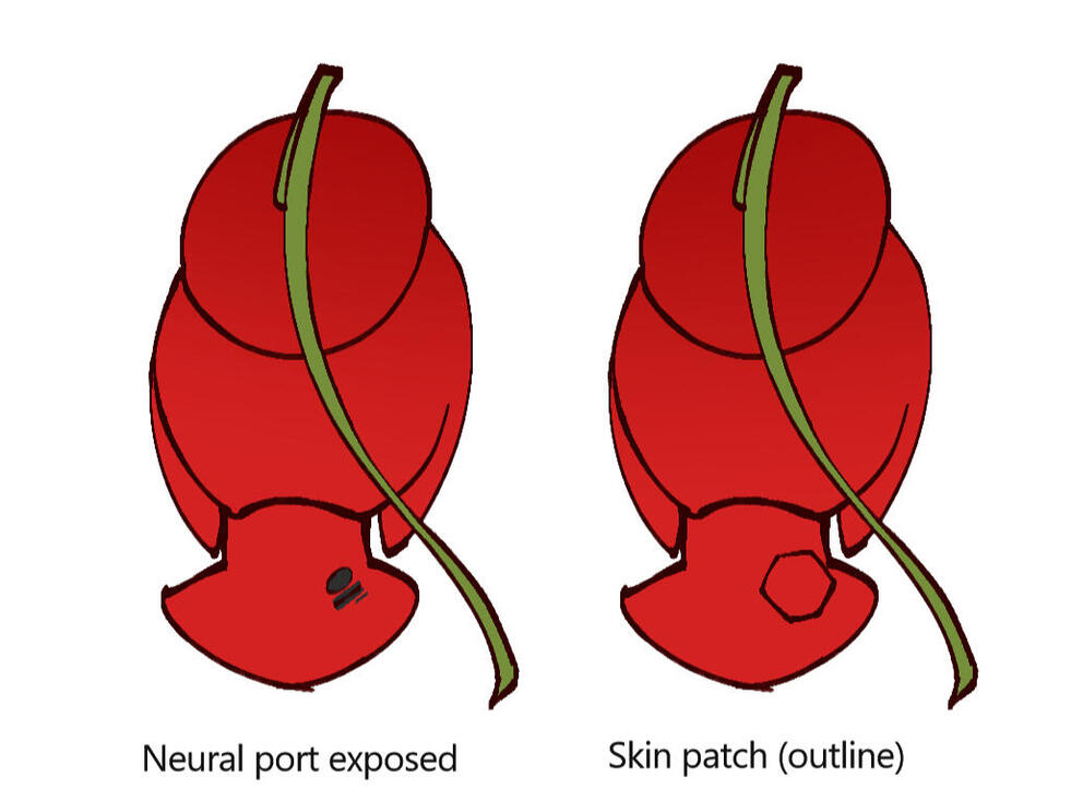 In a non cash society Neural chip ports are slowly rising in use, with a neural chip port a foodie can have a digital wallet, documentation and form of communication.